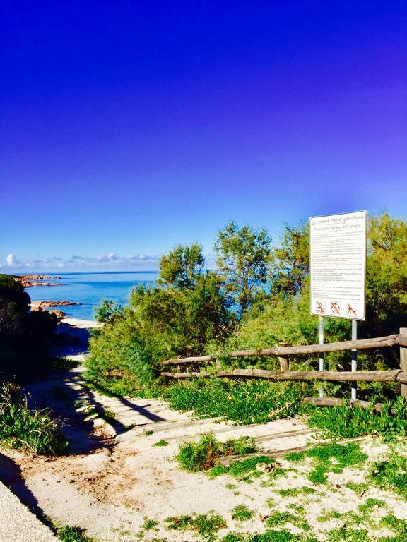 Appartamenti In Villa La Marinedda Isola Rossa Zewnętrze zdjęcie